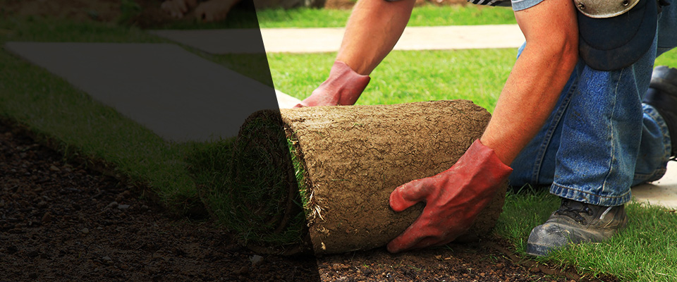 Northborough Landscapers